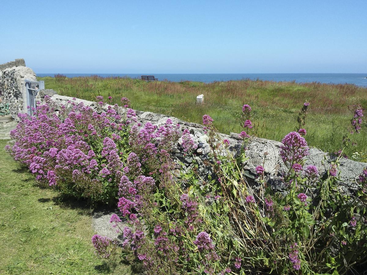 Angorfa Villa Cemaes Bay Dış mekan fotoğraf